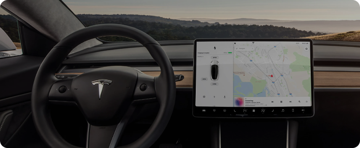 Accesorios del mercado de accesorios de Tesla